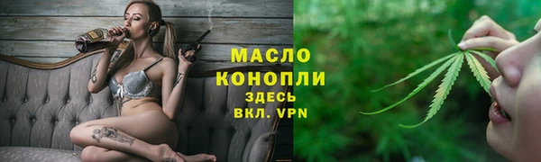 стаф Бородино