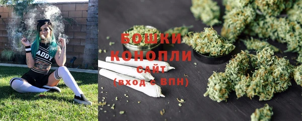 ПСИЛОЦИБИНОВЫЕ ГРИБЫ Бронницы