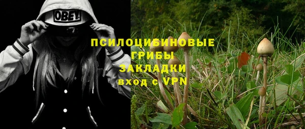 стаф Бородино
