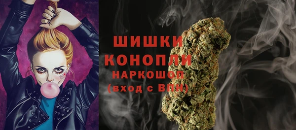 стаф Бородино