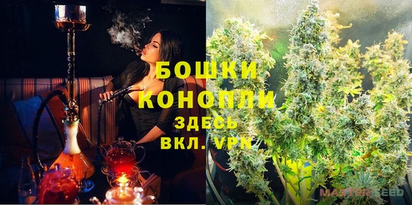 ПСИЛОЦИБИНОВЫЕ ГРИБЫ Бронницы