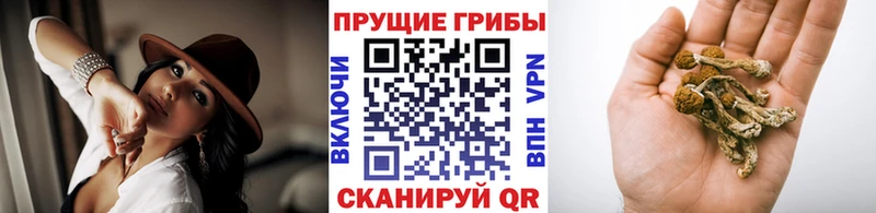 Галлюциногенные грибы Cubensis  Балахна 